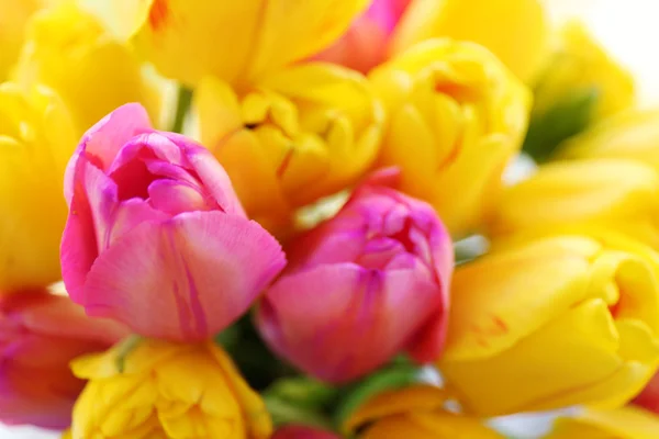 Beautiful bouquet of tulips Stock Photo