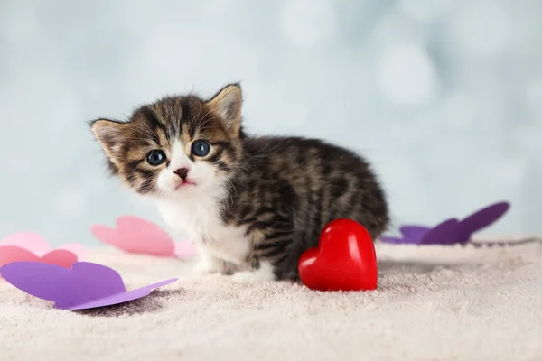 Cute little kitten with red heart on light background — Stock Photo, Image