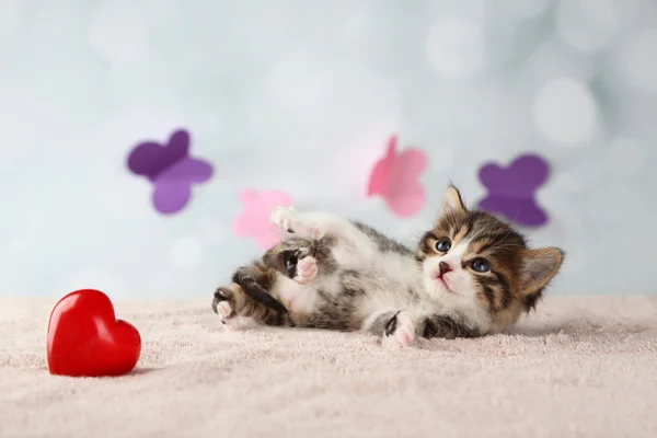 Mignon petit chaton avec coeur rouge sur fond clair — Photo