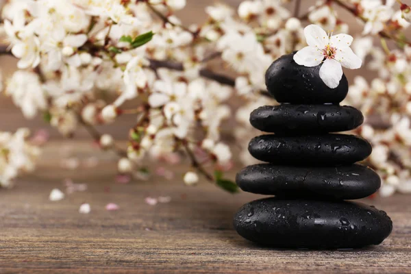 Spa still life with flowering branches on wooden background — Stock Photo, Image