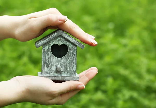 Decorative nesting box in female hands on bright background — Stock Photo, Image