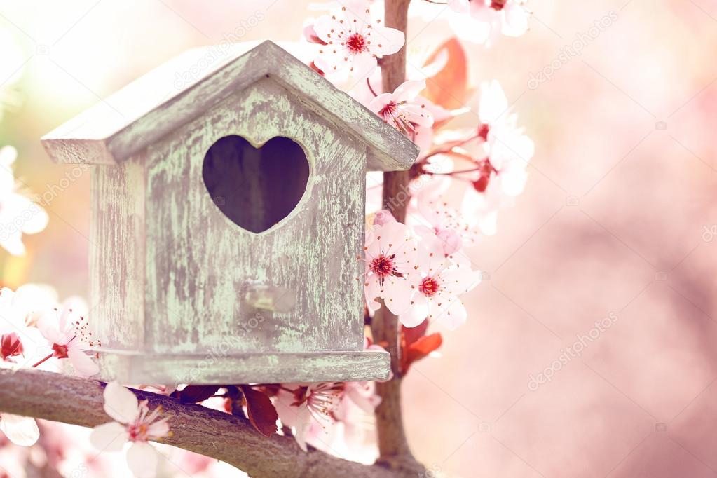 Decorative nesting box on bright background