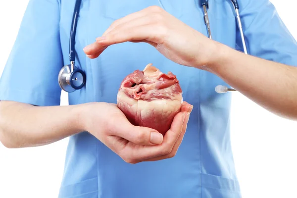 Heart in doctor hands isolated on white — Stock Photo, Image