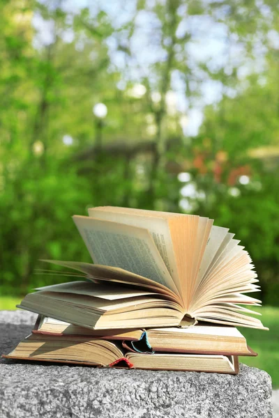 Stack of books outdoors, on blurred background — Stock Photo, Image