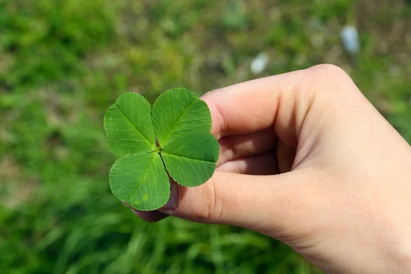 Weibliche Hand mit vier Blättern Klee, Nahaufnahme — Stockfoto