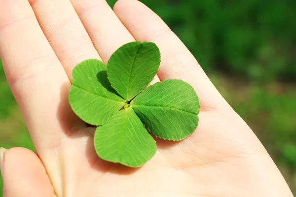 Main féminine avec trèfle à quatre feuilles, gros plan — Photo