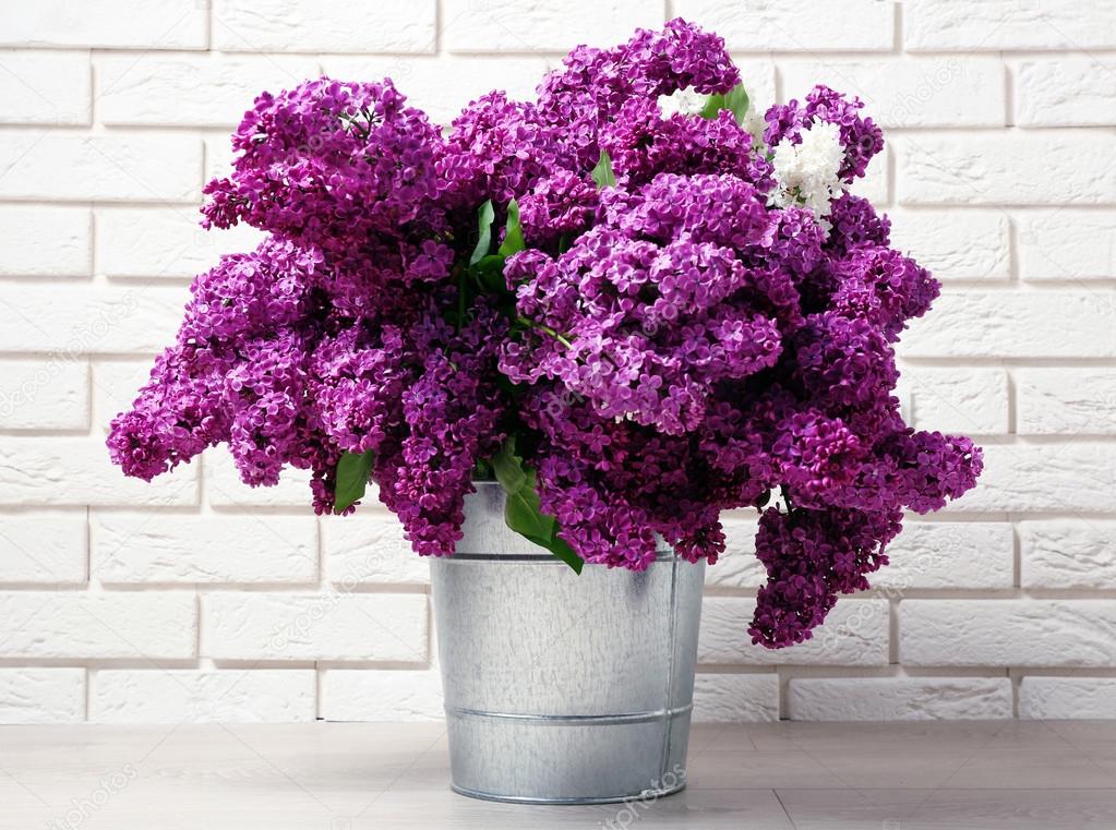 Beautiful lilac flowers in room