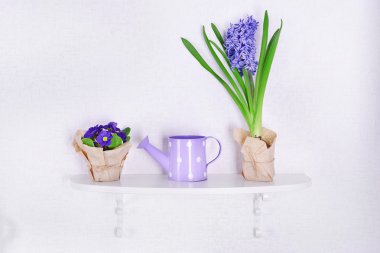 Beyaz duvar arka plan üzerinde rafta çiçek