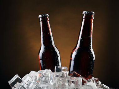 Cam şişe bira buz küpleri