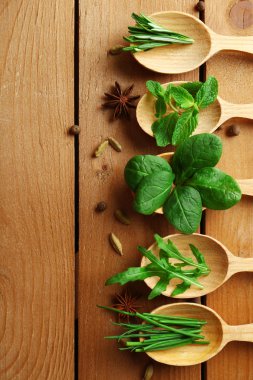 tahta kaşık taze otlar ile