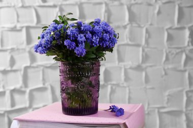 Muscari güzel buket