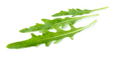 Yeşil roka yaprakları