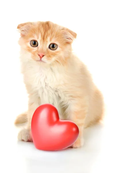 Cute kitten and small red heart isolated on white — Stock Photo, Image