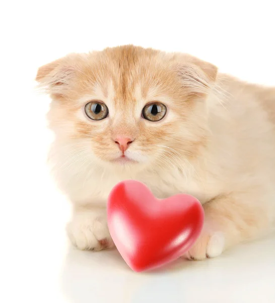 Şirin yavru kedi ve üzerinde beyaz izole küçük kırmızı kalp — Stok fotoğraf
