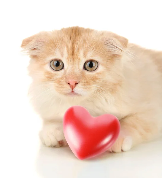 Chaton mignon et petit coeur rouge isolé sur blanc — Photo