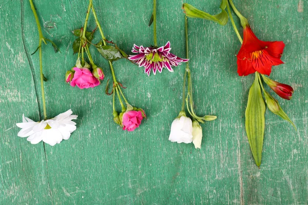 Verschillende bloemen op houten achtergrond — Stockfoto