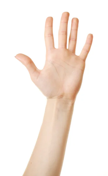 Wijfje hand geïsoleerd op wit — Stockfoto