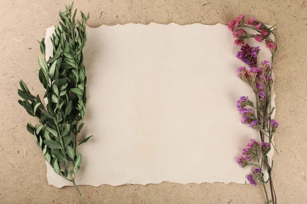 Blommor på papper på plywood bakgrund — Stockfoto