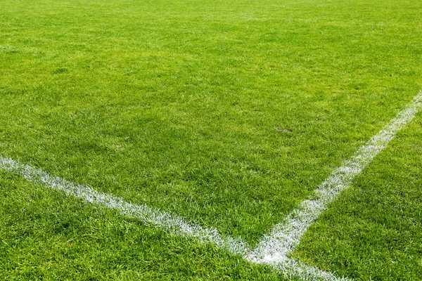 Football field stadium background