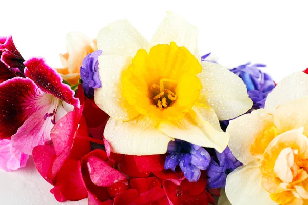 Mooi boeket van heldere bloemen — Stockfoto