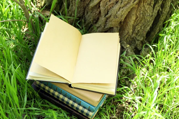 Stacked books in grass — Stock Photo, Image