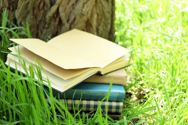 Libros apilados en hierba — Foto de Stock