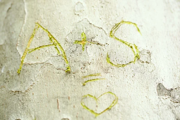 Mensaje de amor tallado en el árbol — Foto de Stock