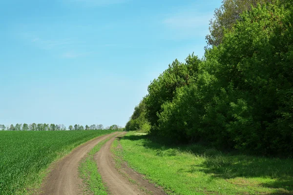 Country road over blue sky — Stock Photo, Image