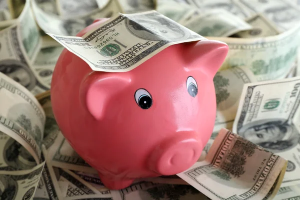 Piggy bank op stapel dollars — Stockfoto
