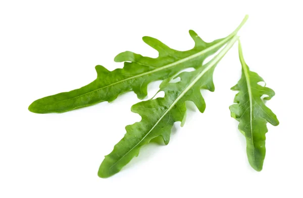 Green arugula leaves — Stock Photo, Image