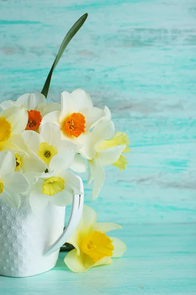 Fresh narcissus flowers — Stock Photo, Image