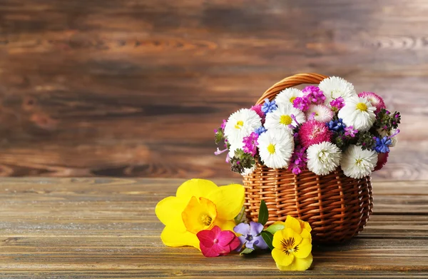 Vackra vårblommor — Stockfoto