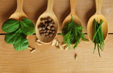 tahta kaşık taze otlar ile