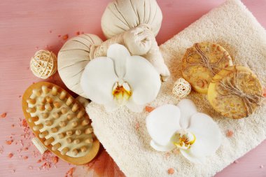 Güzel orkide çiçek çiçeklenme