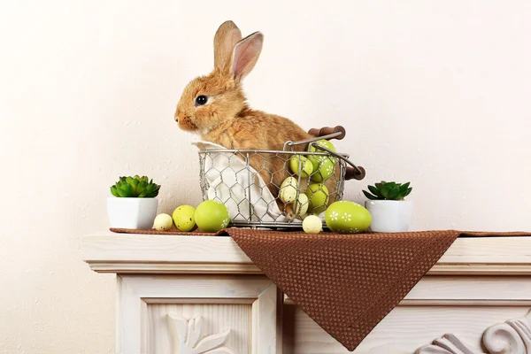 Süßes rotes Kaninchen mit Ostereiern — Stockfoto