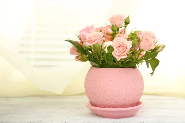 Schöne Rosen im Topf auf der Fensterbank — Stockfoto