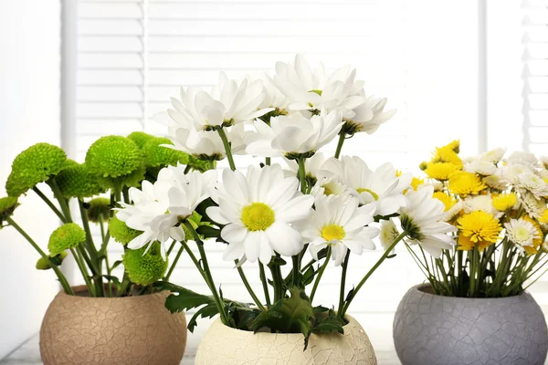 Beautiful chrysanthemum in pots on windowsill — Stock Photo, Image