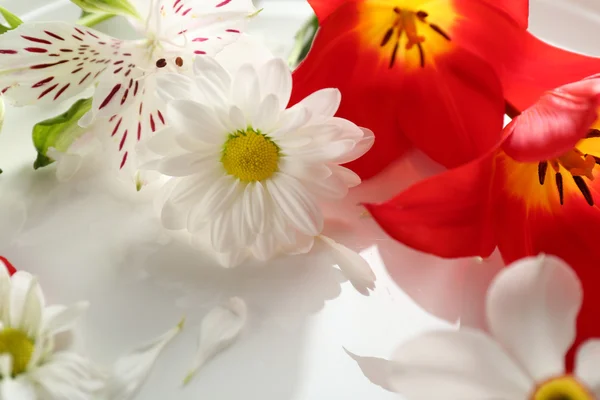 Hermosas flores en el plato de cerca — Foto de Stock