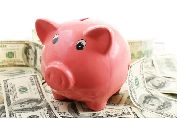 Банк свиней на куче долларов, крупный план — стоковое фото