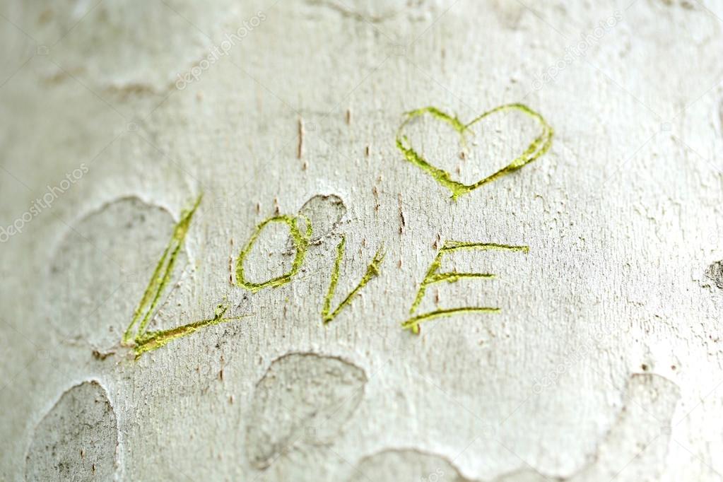 Word Love carved in tree close-up