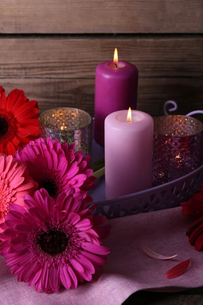 Hermosas flores de gerberas brillantes — Foto de Stock