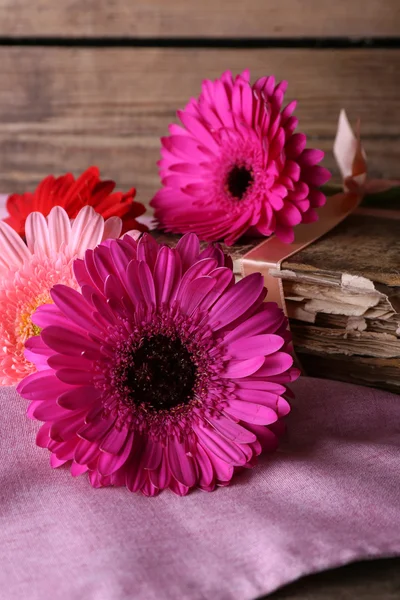 Belas flores de gerbera brilhantes — Fotografia de Stock