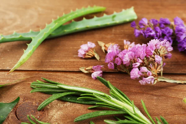 Green herbs and leaves — Stock Photo, Image