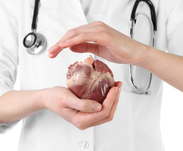 Coração em mãos de médico isolado em branco — Fotografia de Stock