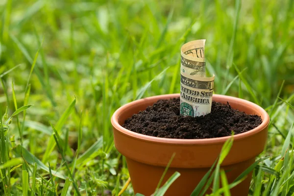 Dinero creciendo en maceta —  Fotos de Stock