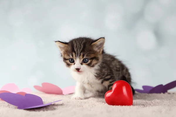 明るい背景に赤いハートのかわいい子猫 — ストック写真