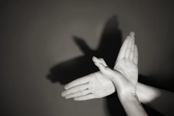 Hands gesture like dove on gray background — Stock Photo, Image