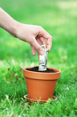 Parayı saksının yeşil çim arka plan üzerinde yıkıp el