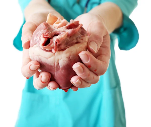 Corazón en manos del médico aislado en blanco — Foto de Stock