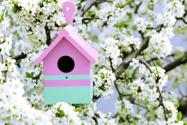 Decorative nesting box on bright background — Stock Photo, Image